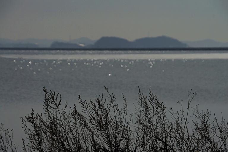 DSC04914-1.JPG