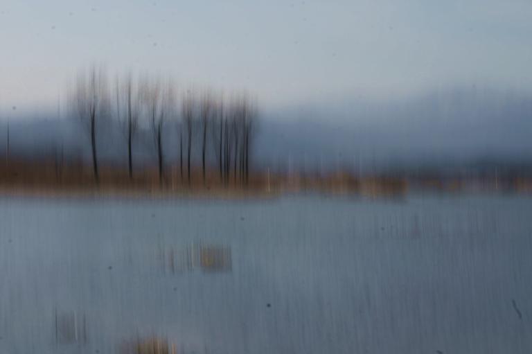 DSC05531-1.JPG