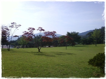 사진090711_12.jpg 사진090711_12.jpg