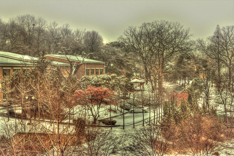 IMG_9814_2_3_tonemapped_tonemapped_2.jpg