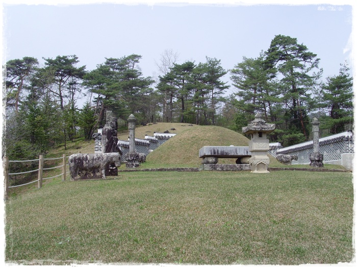 SNV39325.JPG