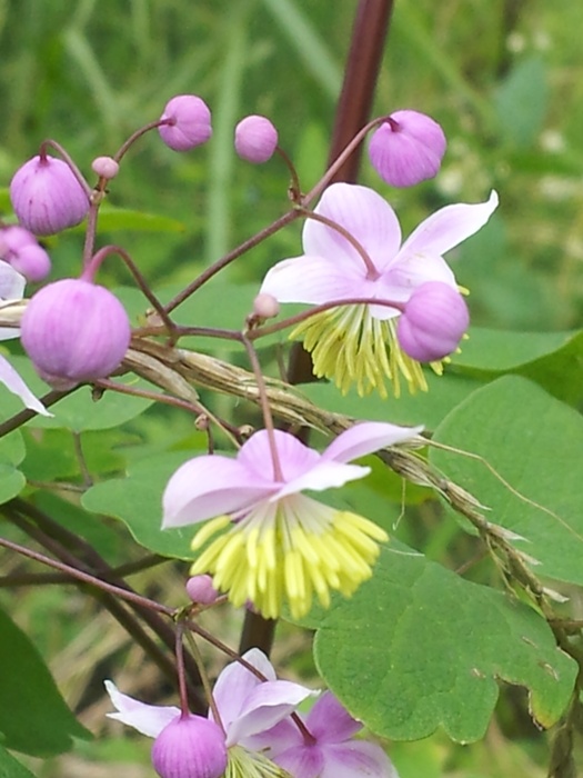 20120824_144338.jpg