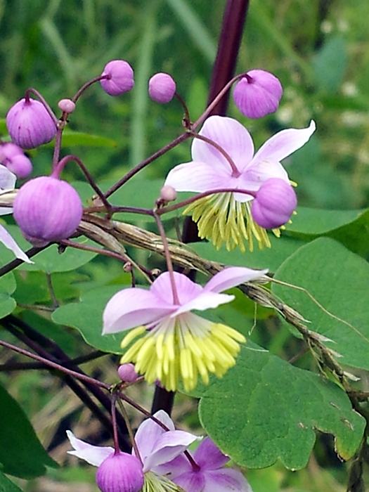 20120824_144338.jpg
