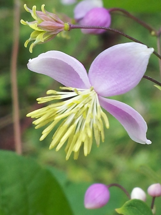 20120824_144355.jpg