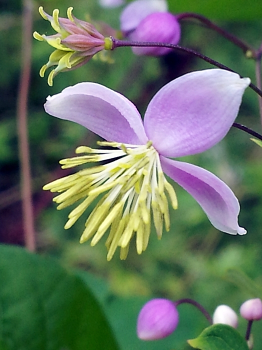 20120824_144355.jpg