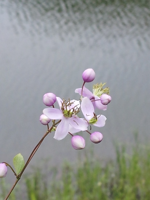 20120824_144437.jpg