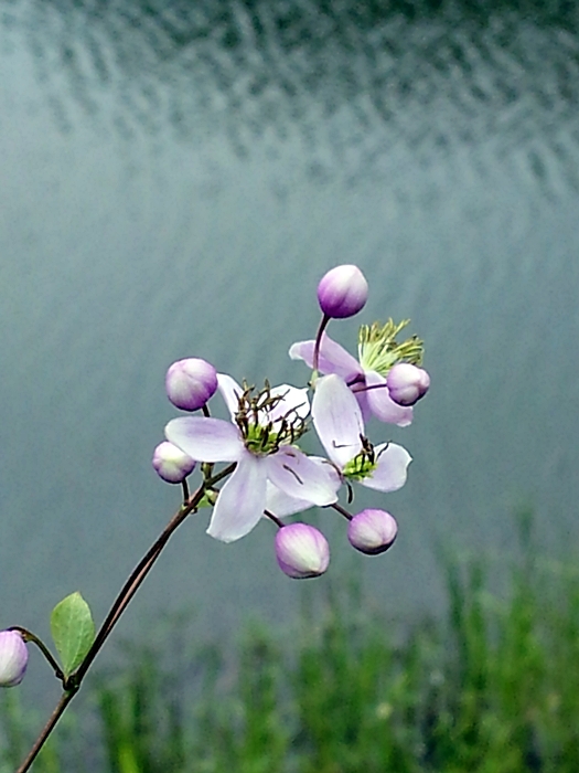 20120824_144437.jpg