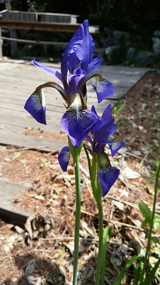KakaoTalk_20140516_134427537.jpg