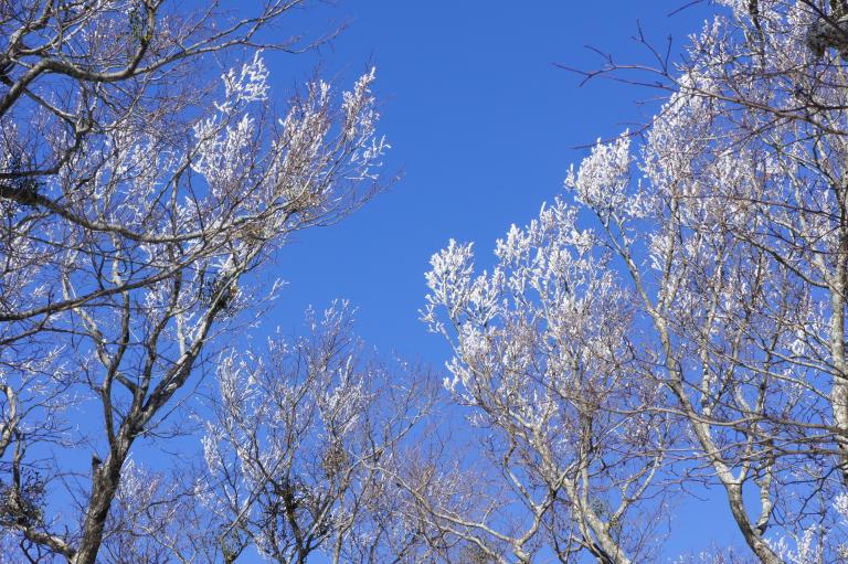 DSC01350.JPG