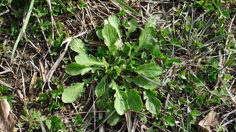 20100404-0012.JPG
