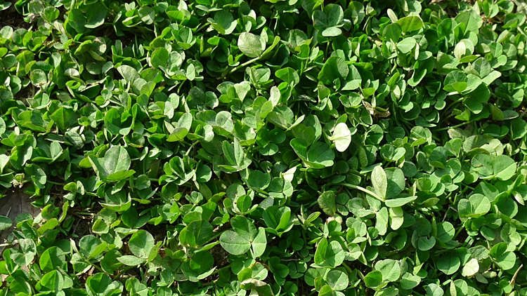 20100404-0014.JPG