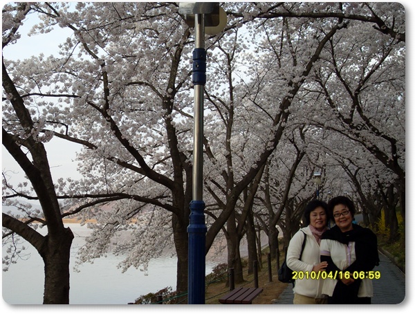 SDC10856.JPG