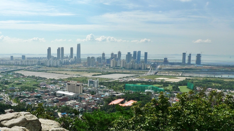 P1110420-crop.JPG