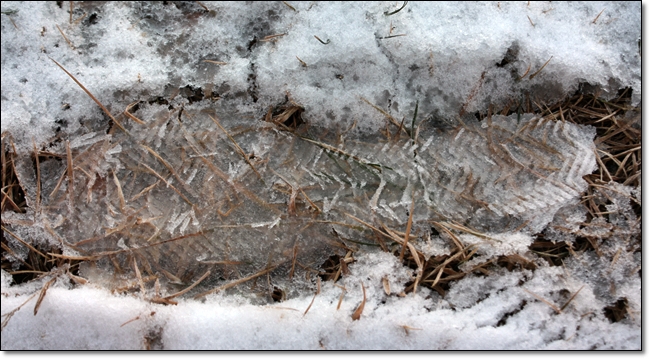 snow (35).JPG