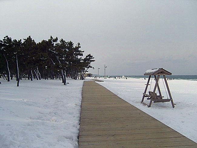SN200009-1.jpg