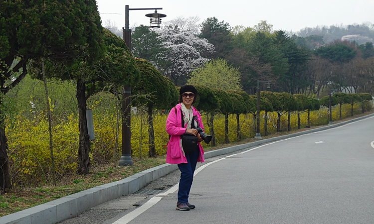 iicc-20150409-24.JPG