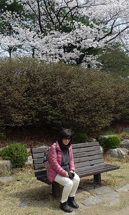 iicc-20150409-31.JPG