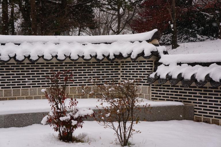 DSC05819.JPG