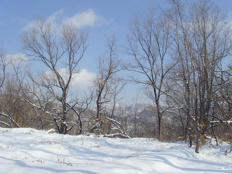 SNV39112.JPG