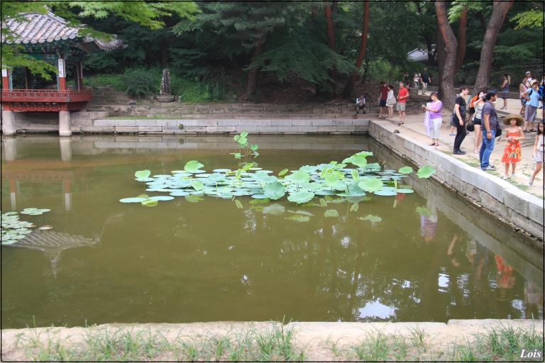 비원5.JPG