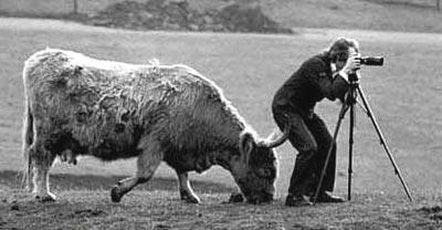 fun_1201_747086_8.jpg