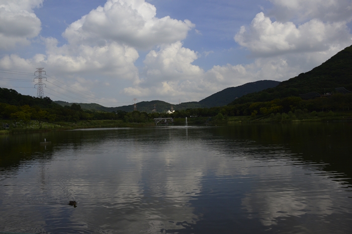 _DSC1491 - 복사본.JPG