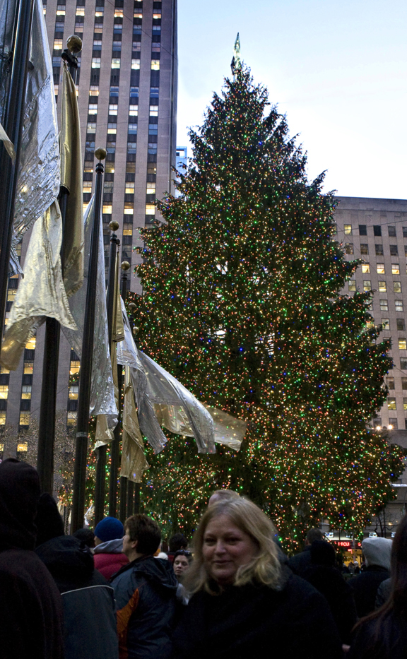 rock ct_tree1.jpg