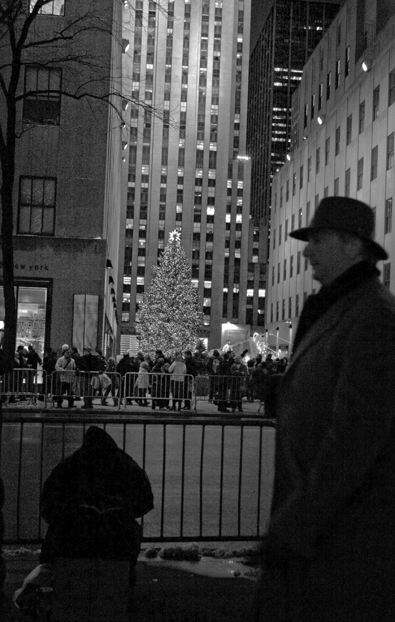 rock ct_tree6_bw.jpg