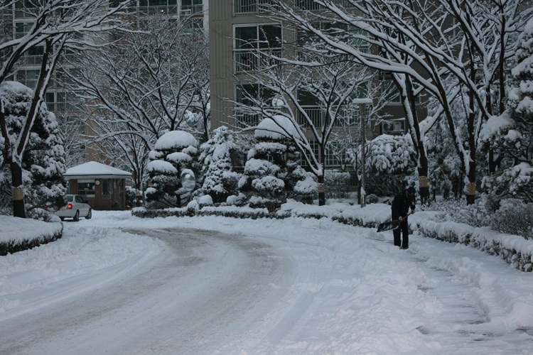 IMG_0122-눈1.jpg