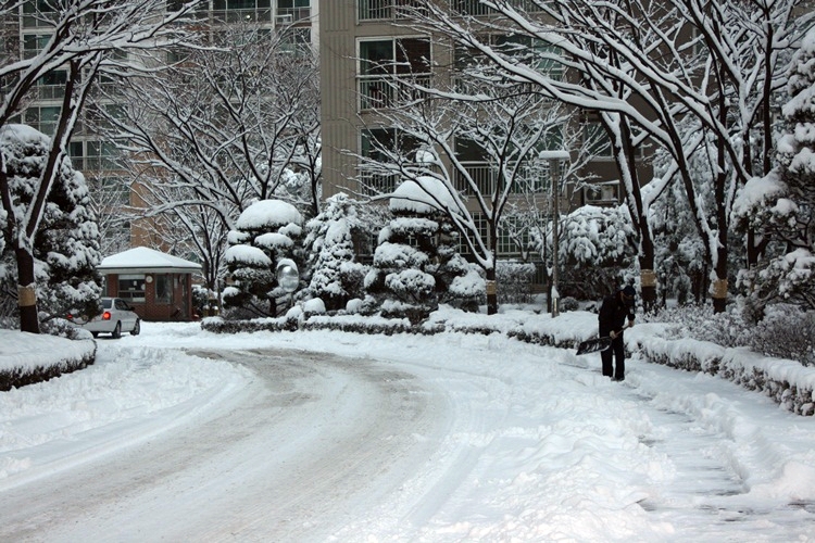 IMG_0122-눈2.jpg