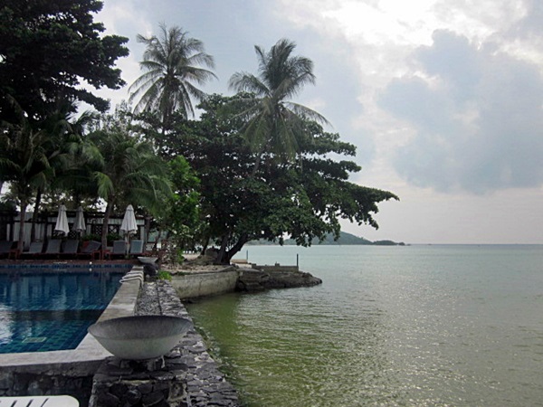 IMG_5866.JPG