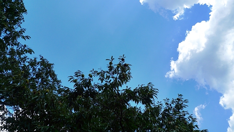 20100924-15.JPG