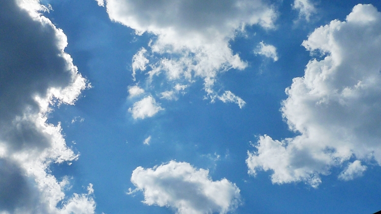 20100924-18.JPG