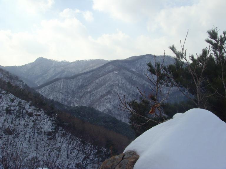 SNV38934.JPG