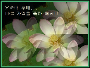 d-DSC00743.JPG