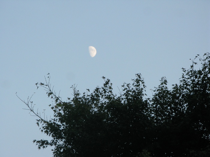 IMG_8225.JPG
