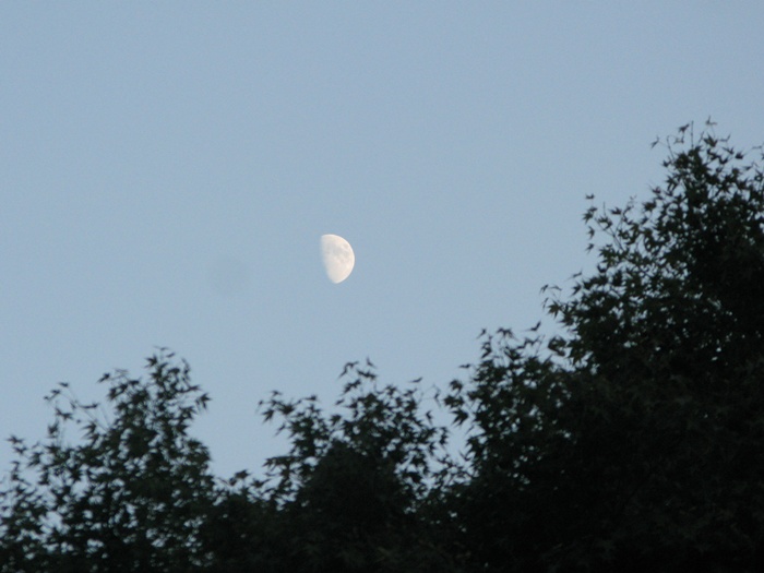 IMG_8226.JPG