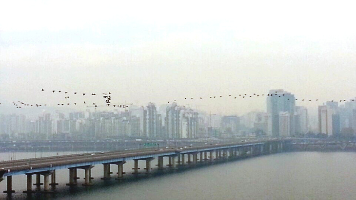 KakaoTalk_b5066a692fc71f74.jpg