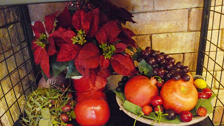 inil-20091220-32.JPG