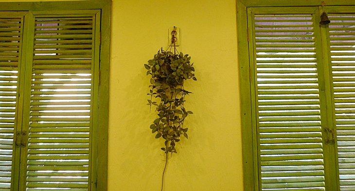 inil-20091220-36.JPG