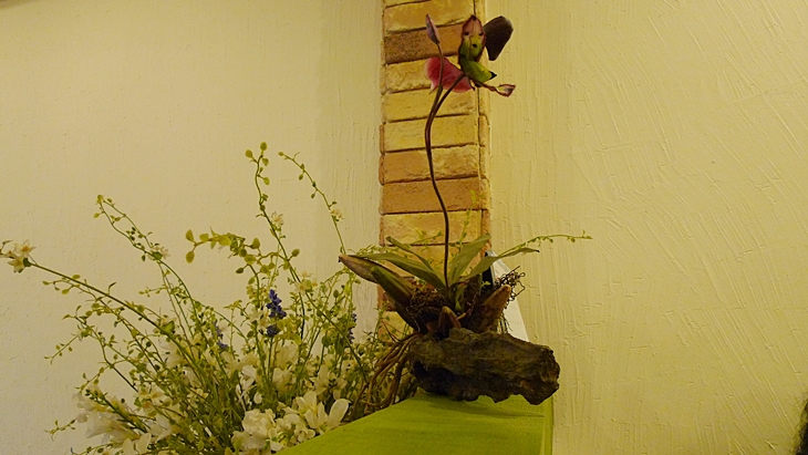 inil-20091220-55.JPG