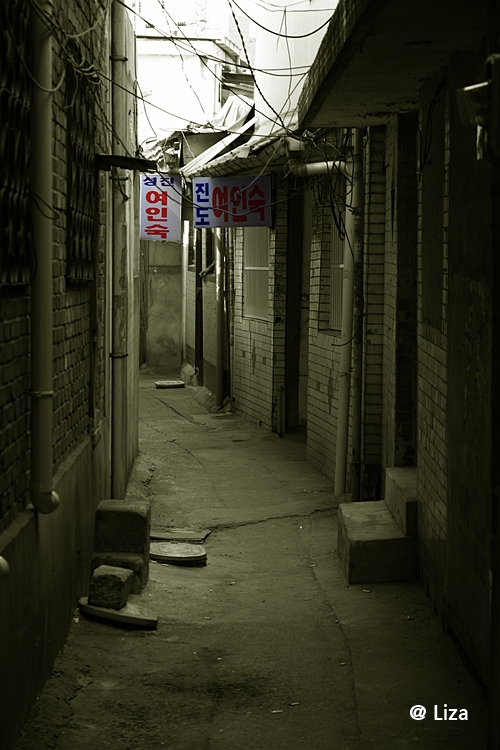 DPP_0051_3.jpg