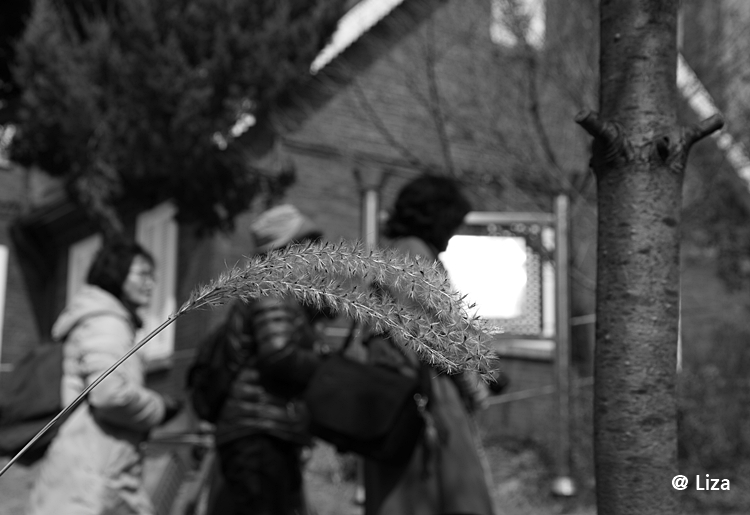 IMG_7768_1.JPG