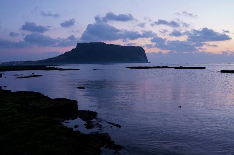 DSC02595-1.JPG