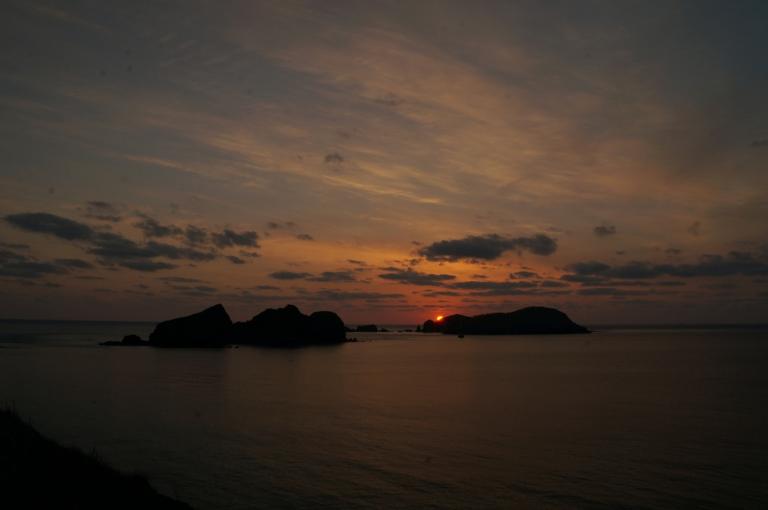 DSC02915-1.JPG
