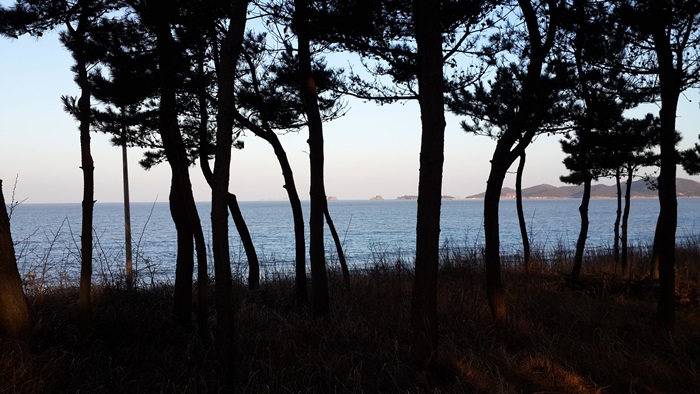 012신한여행.jpg