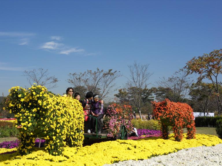 SDC11103.JPG