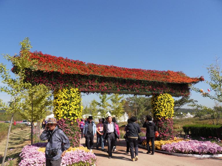 SDC11109.JPG