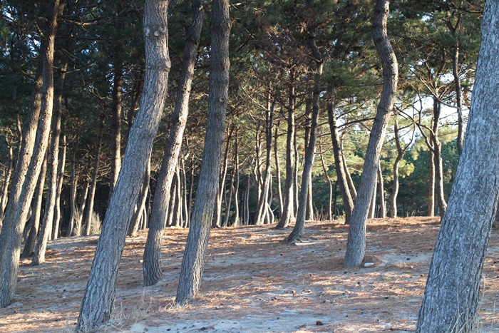 053신한여행.JPG
