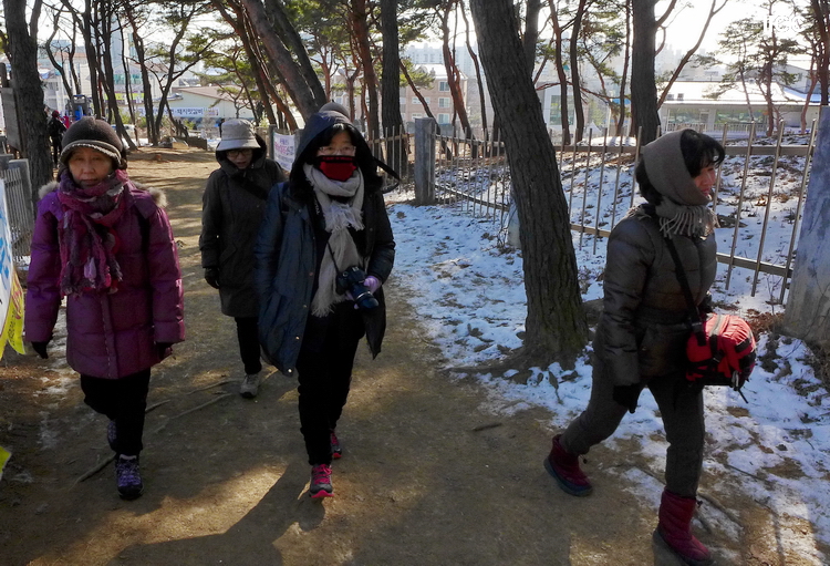 P1020340.JPG